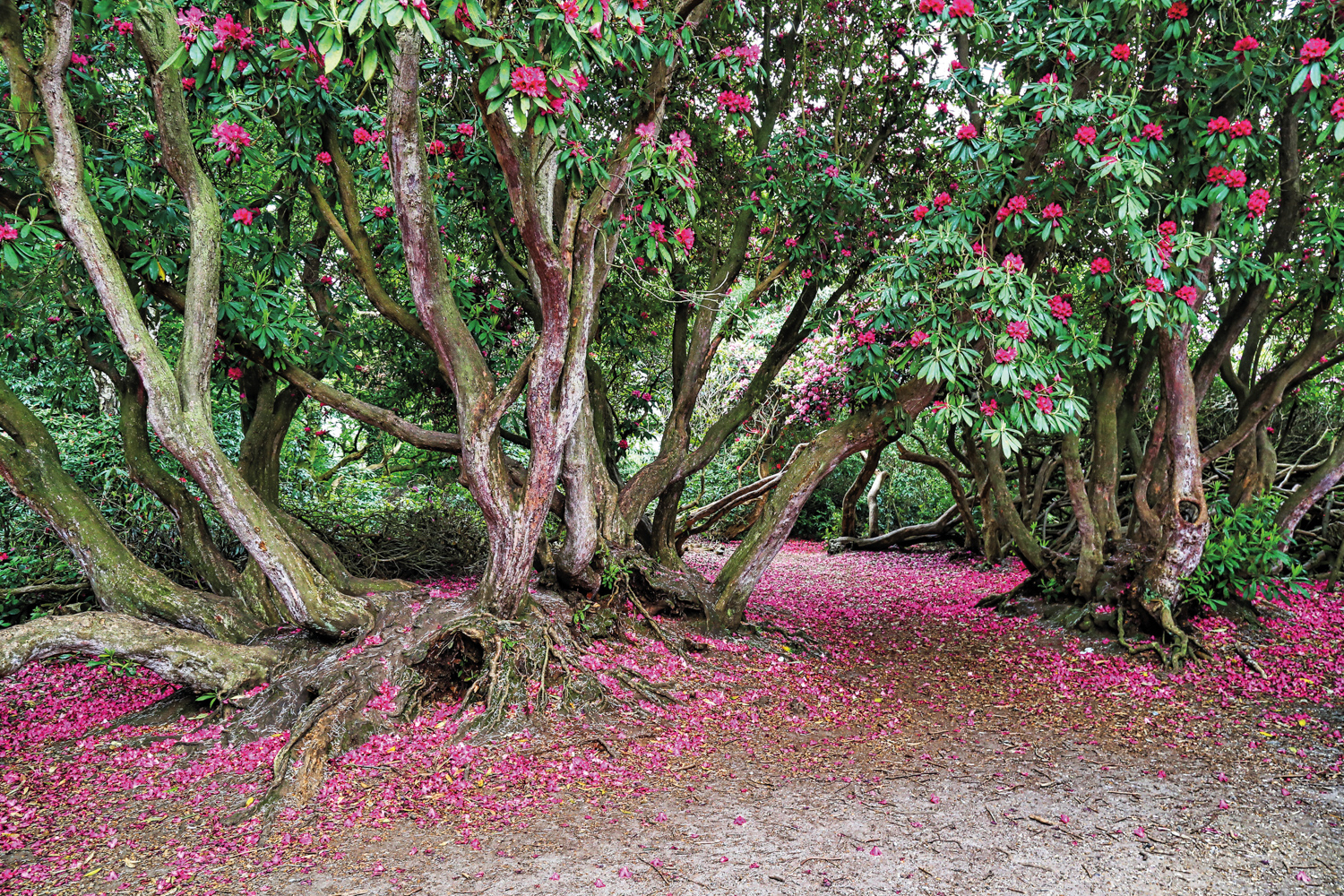 Sheringham Park